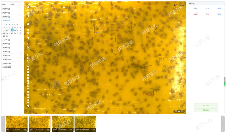 4. 智能识别 自动计数_750.png